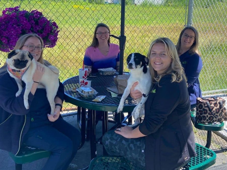 Plattsburgh Animal Hospital veterinary team