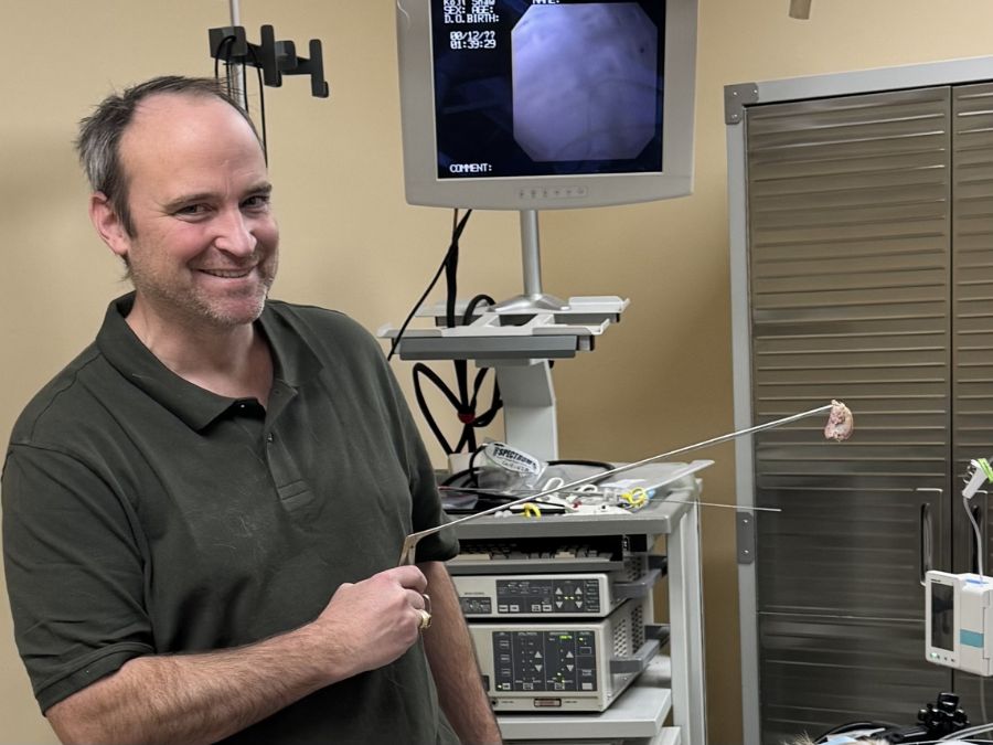 Veterinarian standing in front of a monitor