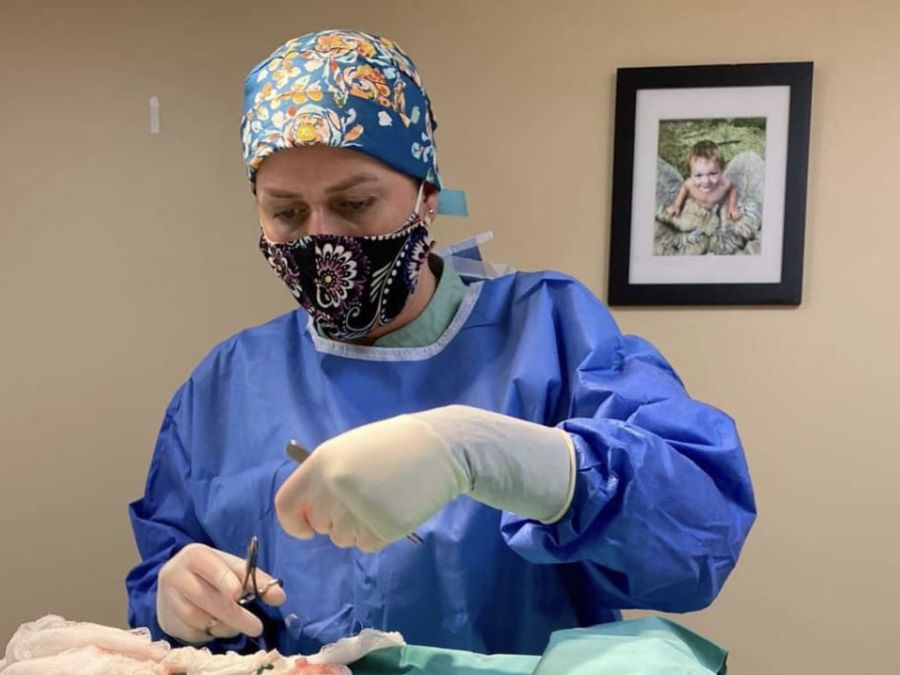 Veterinarian performing surgery