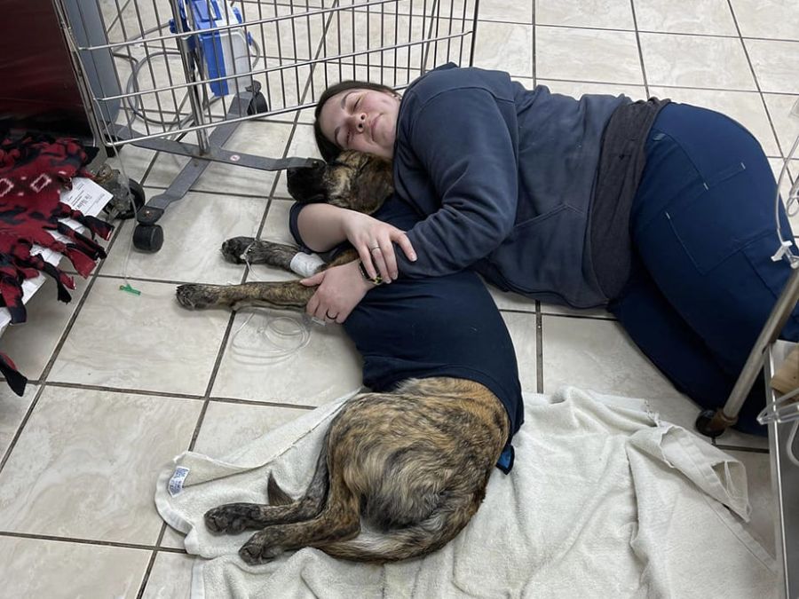 Veterinary Staff laying down with a dog