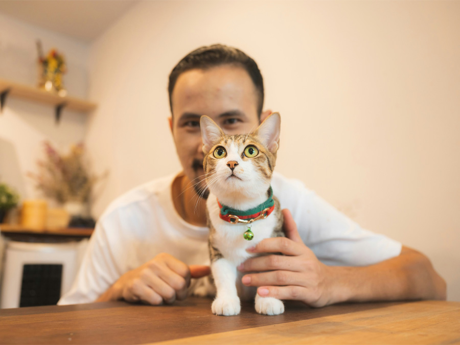 Man holds tabby cat lovingly.