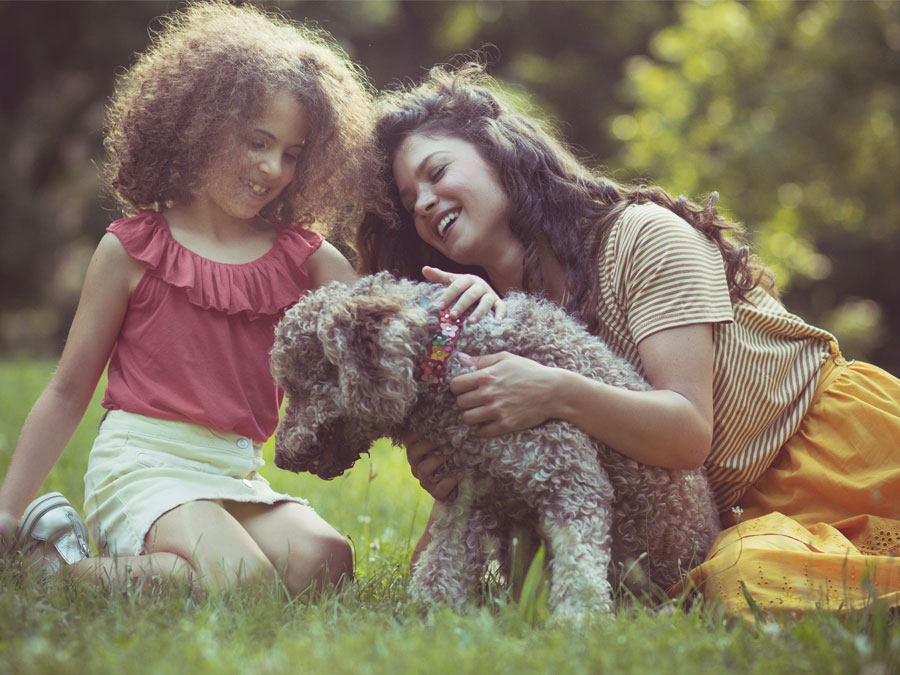 Wellness Care A poodle with its owners