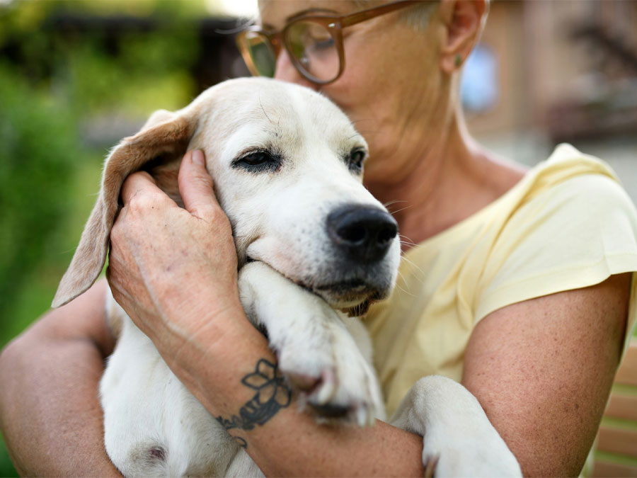 Woman hugs beagle dog lovingly.