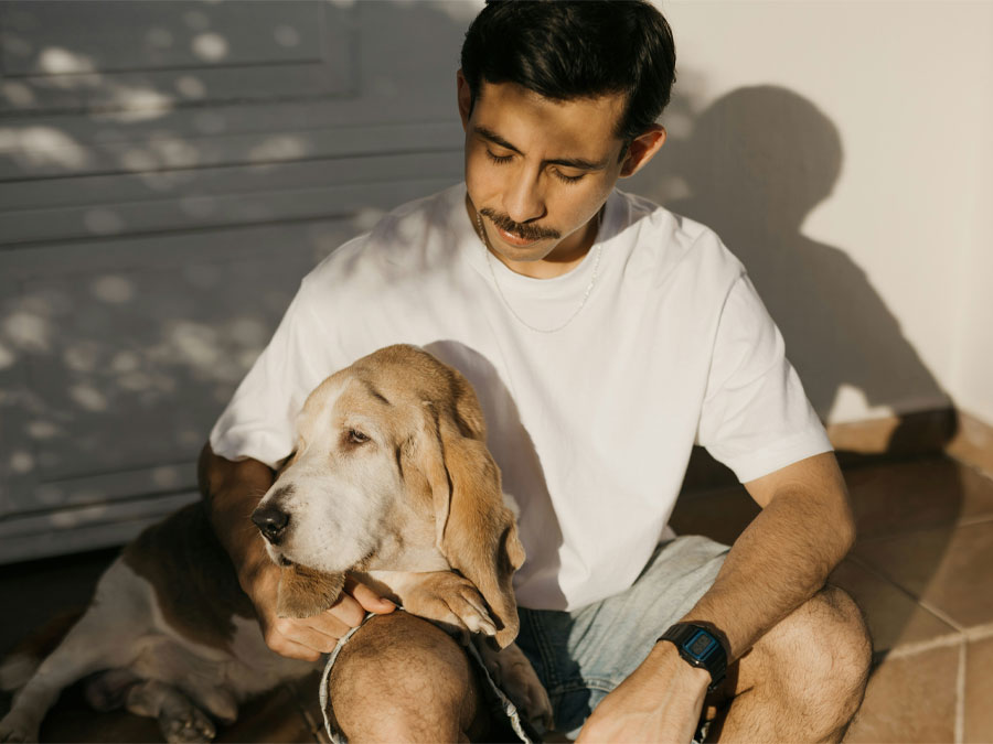 Old Dog sitting with his Human friend