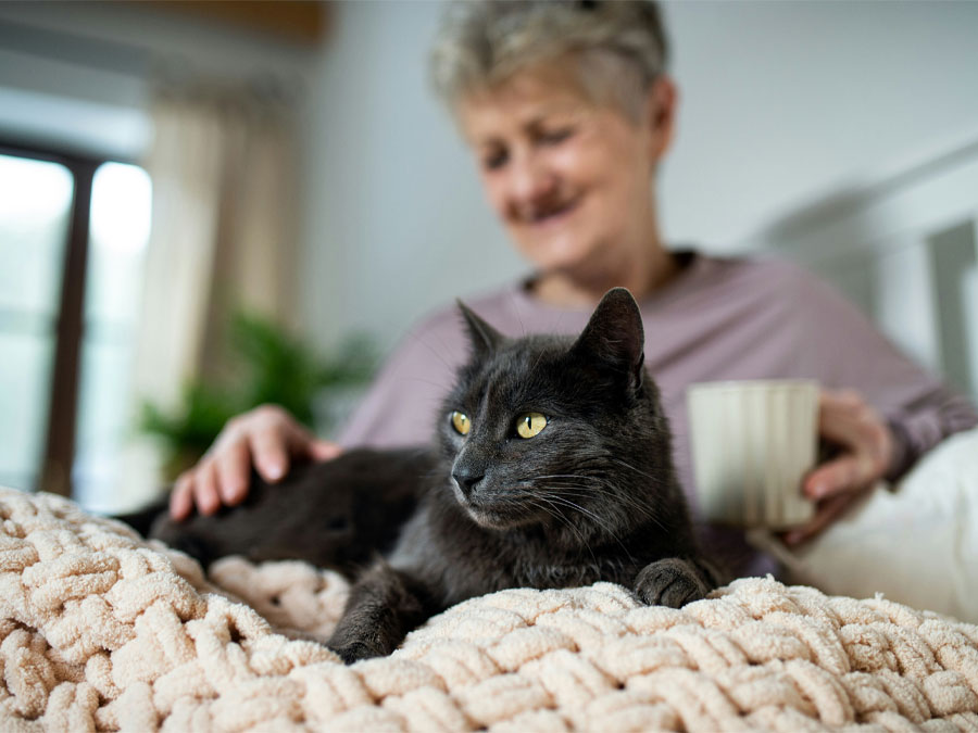 Woman, cat, and chunky blanket.