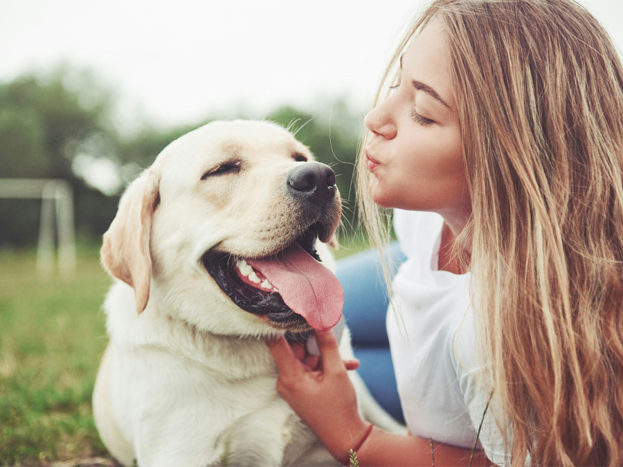 Woman kissing happy labrador retriever.