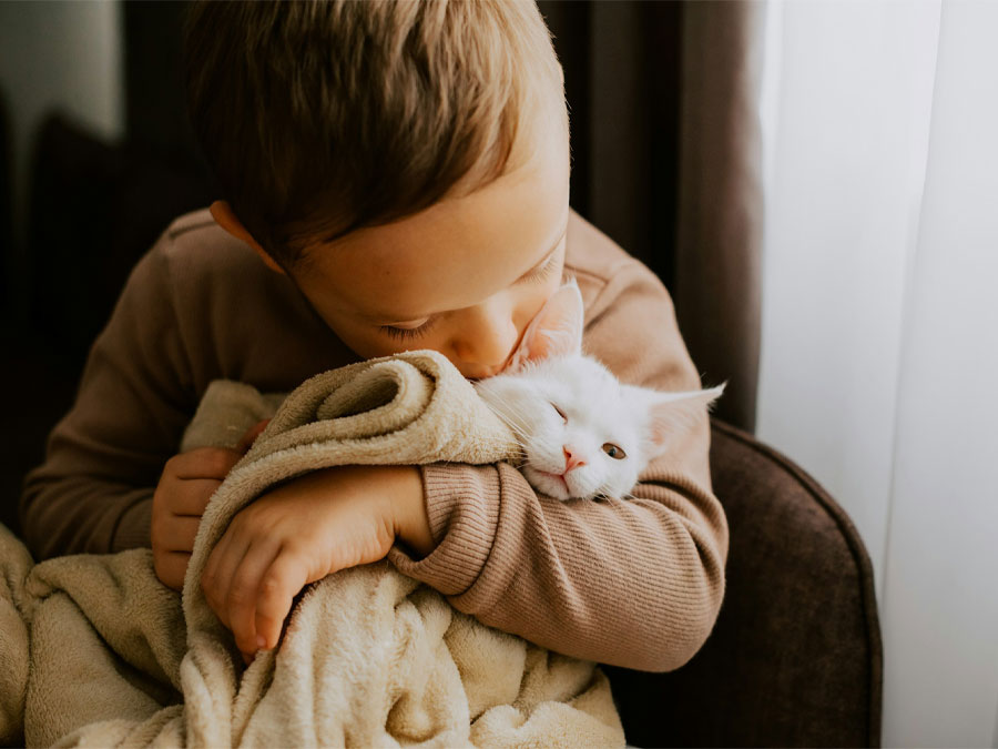 Boy hugging white cat lovingly.